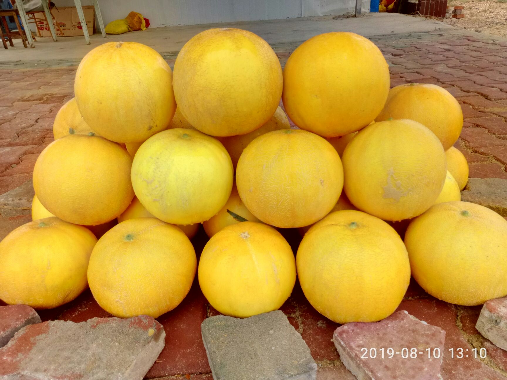  我这里是牧区，羊粪肥料充足，昼夜温差大，适合甜瓜生长。