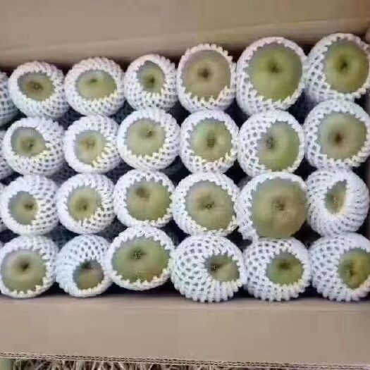 苍溪县 世界原产地，自家种植，苍溪红心猕猴桃,一年一月。
没有仓库