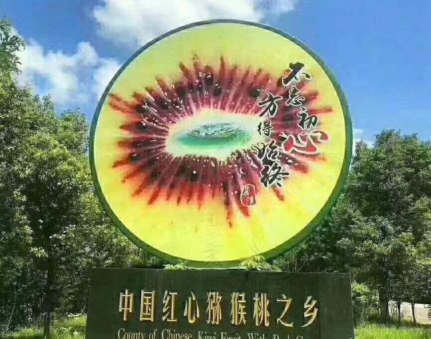  苍溪红心猕猴桃一一红心猕猴桃原产地、中国最好的红心猕猴桃！