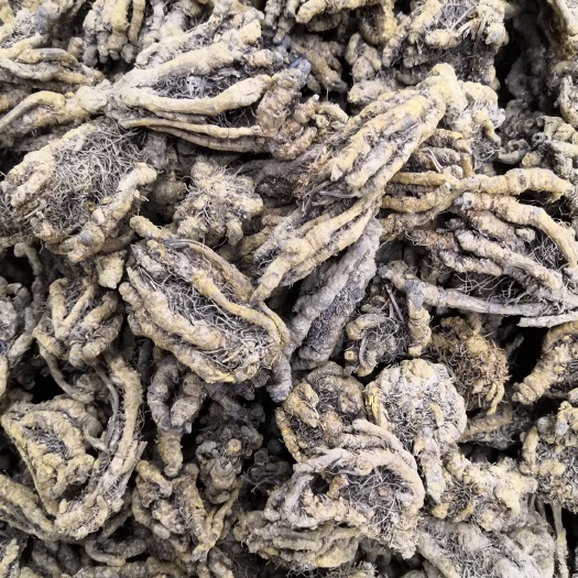 亳州无硫  黄连 鸡爪连 单支连 中药材大全各种规格和价格