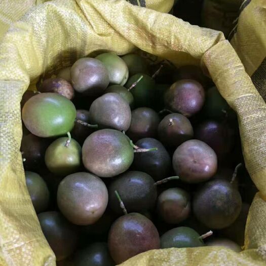 桂林 桂林高山果百香果