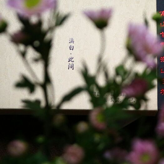 昆明 2018年云南古树月光白