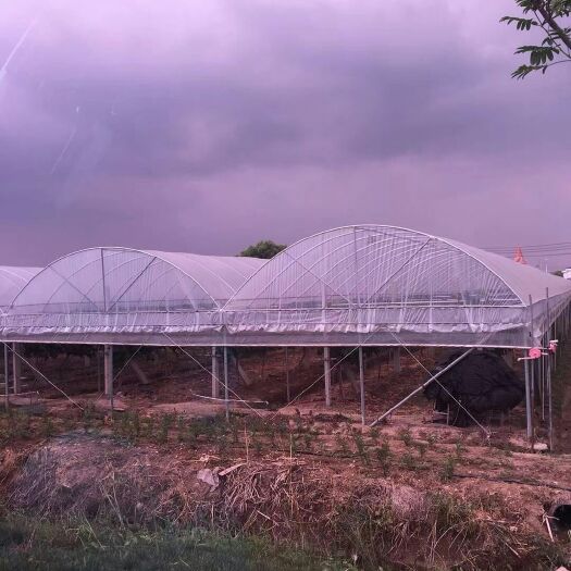 长兴县种植大棚 厂家直销