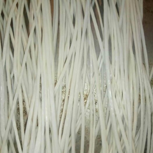 焦作 干土豆粉