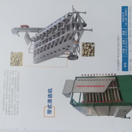 石家庄筛选机 分选机 带式清选机净选精选机筛选振动震动提升机玉米大豆豆类精选净选机