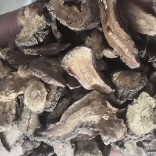 蒲公英茶 蒲公英大片茶