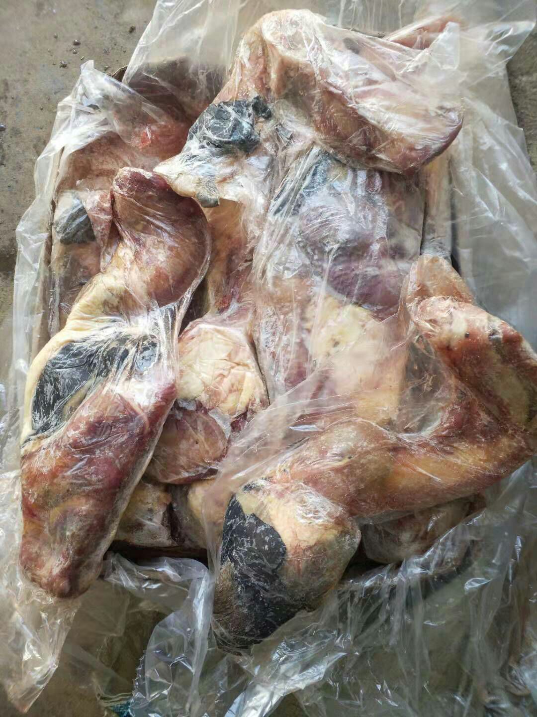 [马肉批发]马肉 精修马鞭价格75元\/斤 1斤起批