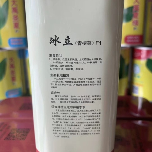 沭阳县 冰立青梗菜种子原装100克罐装