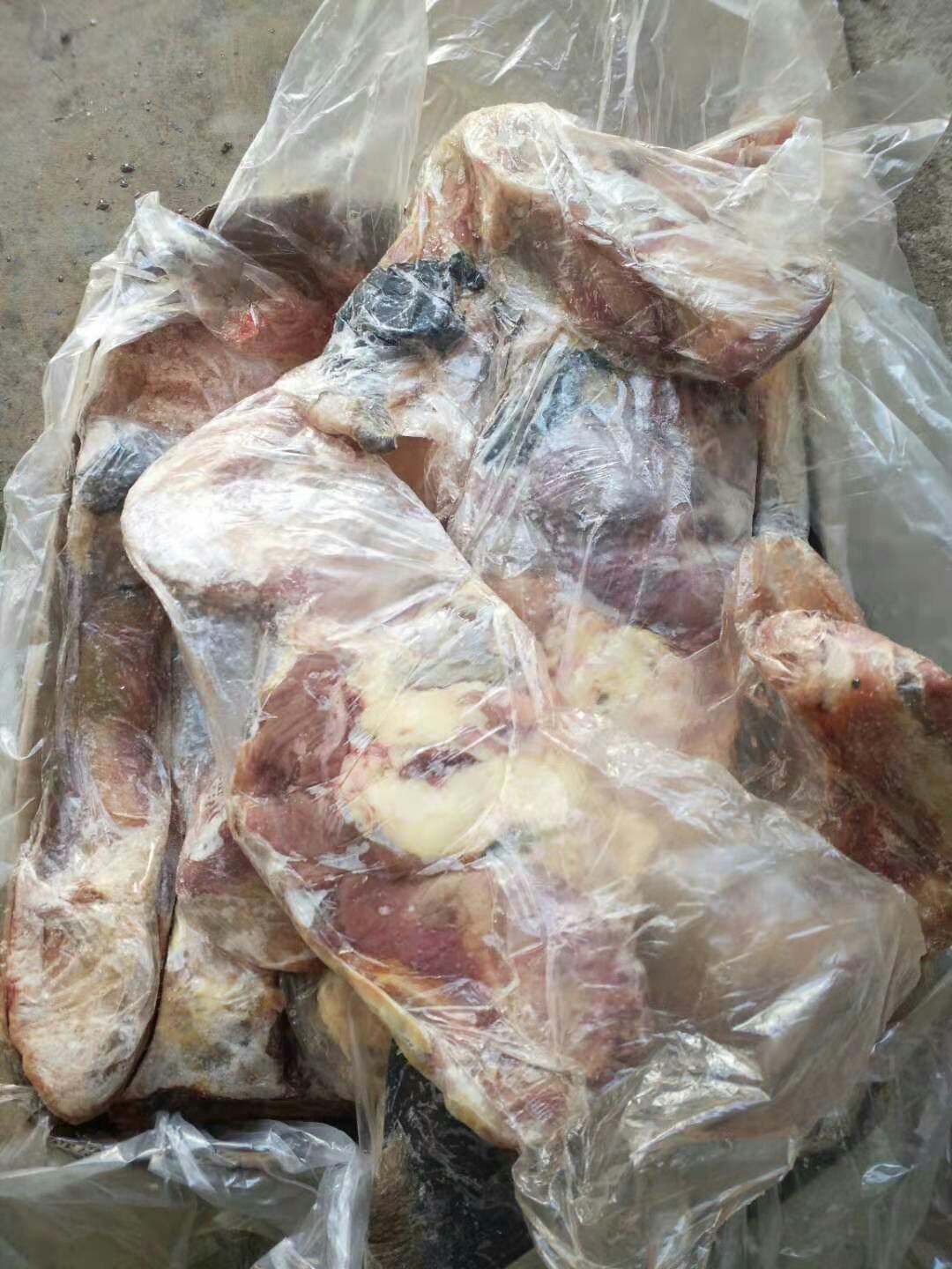 [马肉批发]马肉 精修马鞭价格75元\/斤 1斤起批