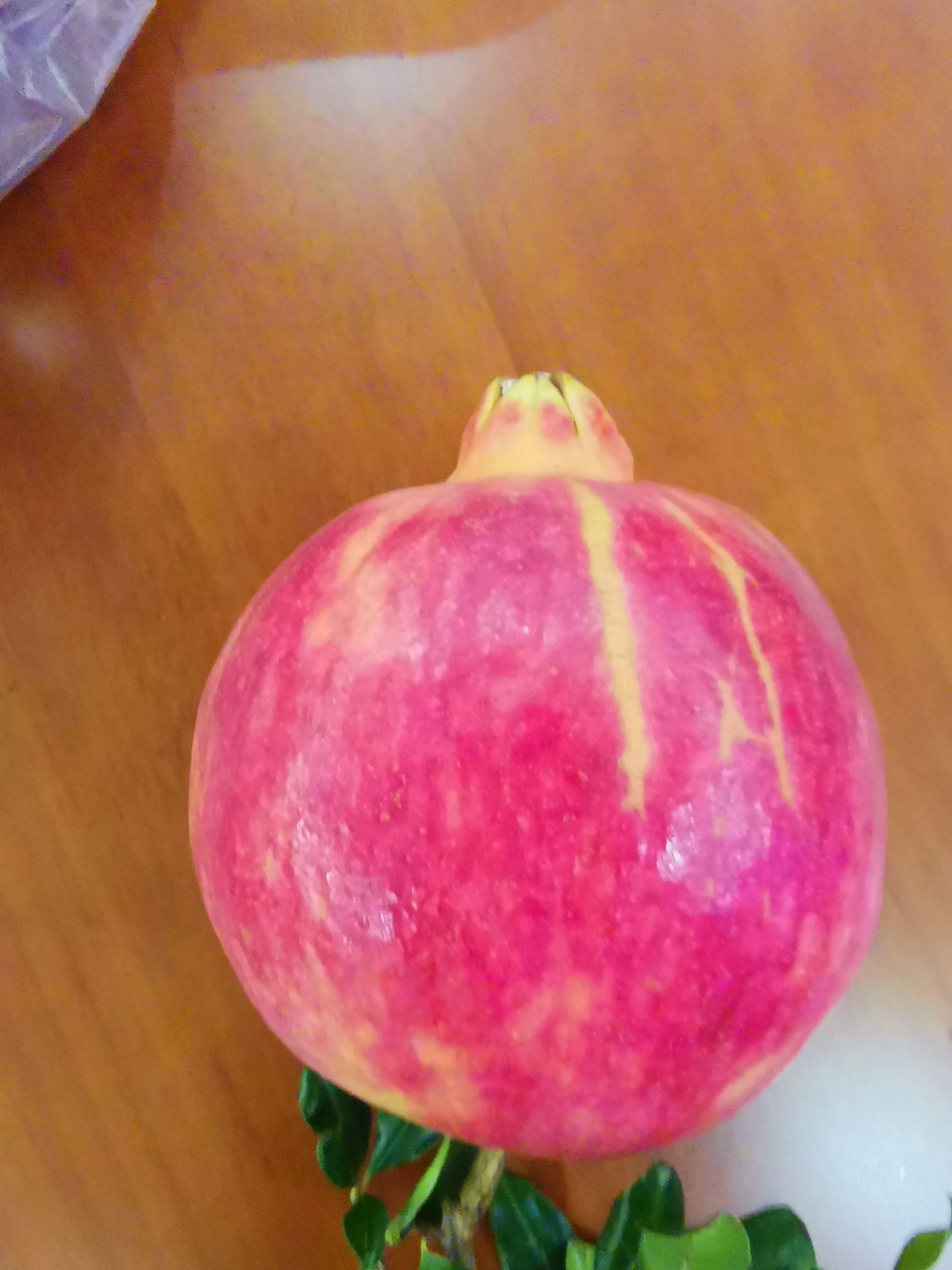  昆明贺有农业开发有限公司驻会泽盐水软子石榴种植基地