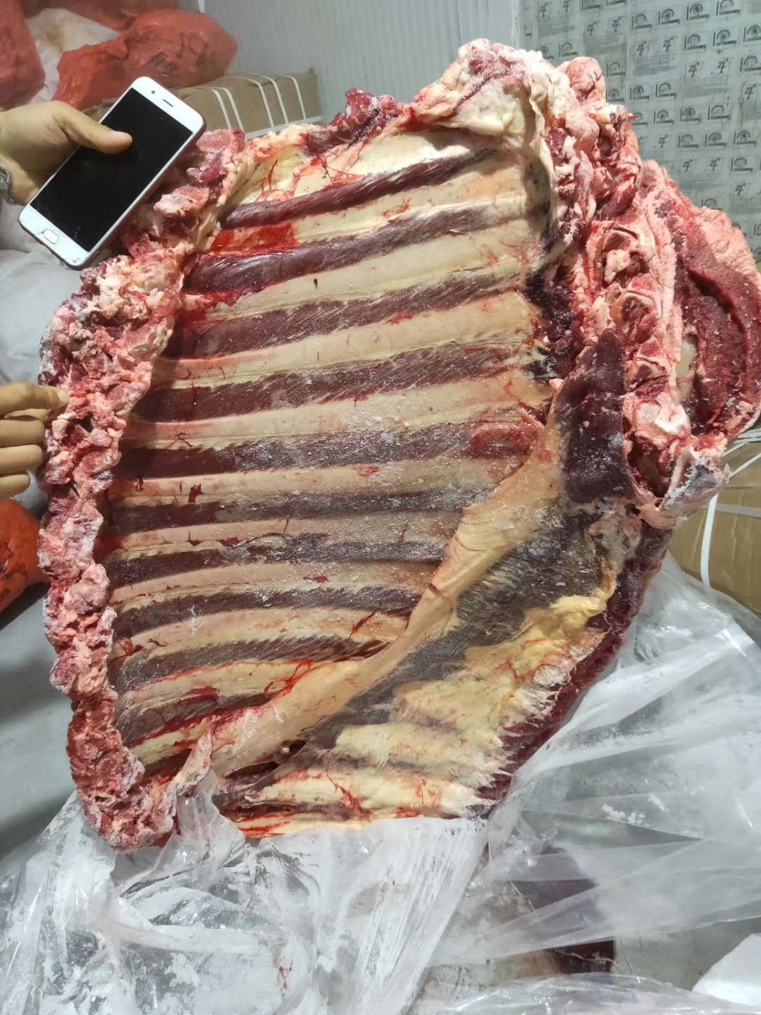  多肉牛排段
