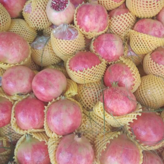 会理市 宊尼斯石榴果大、色艳、皮薄、粒软、味浓、有微香、余味长。