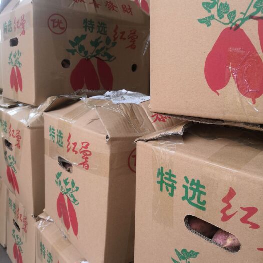 漳浦县大批量供应六鳌红薯西瓜红