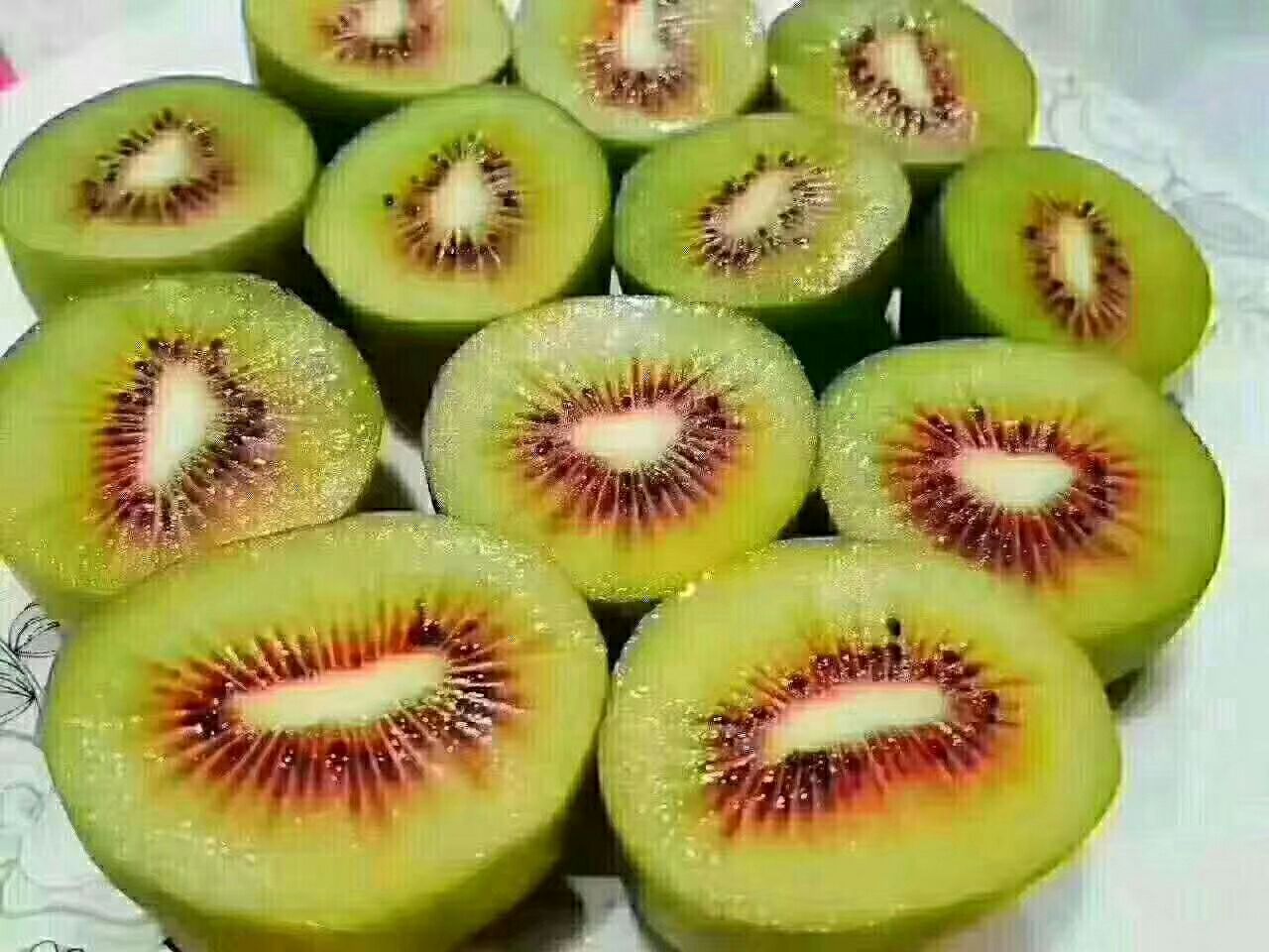 红阳猕猴桃 高山种植