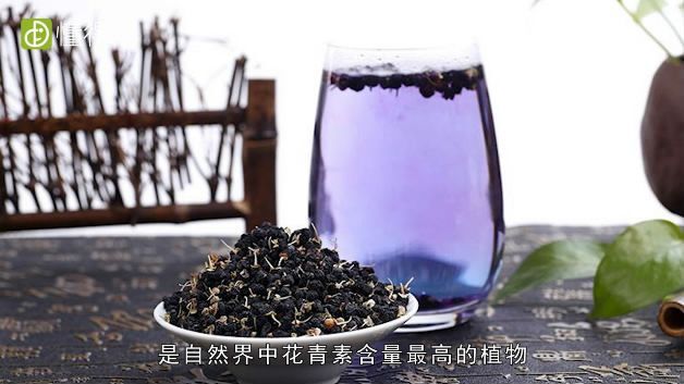 尉犁县 新疆黑枸杞