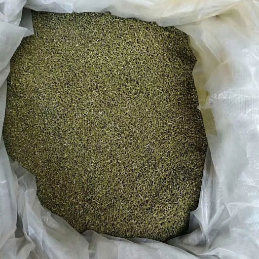 洋县吴茱萸