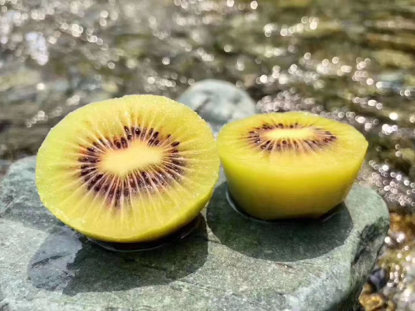  四川苍溪红心猕猴桃