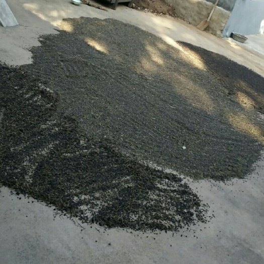 山阳县大量现货五灵脂供应