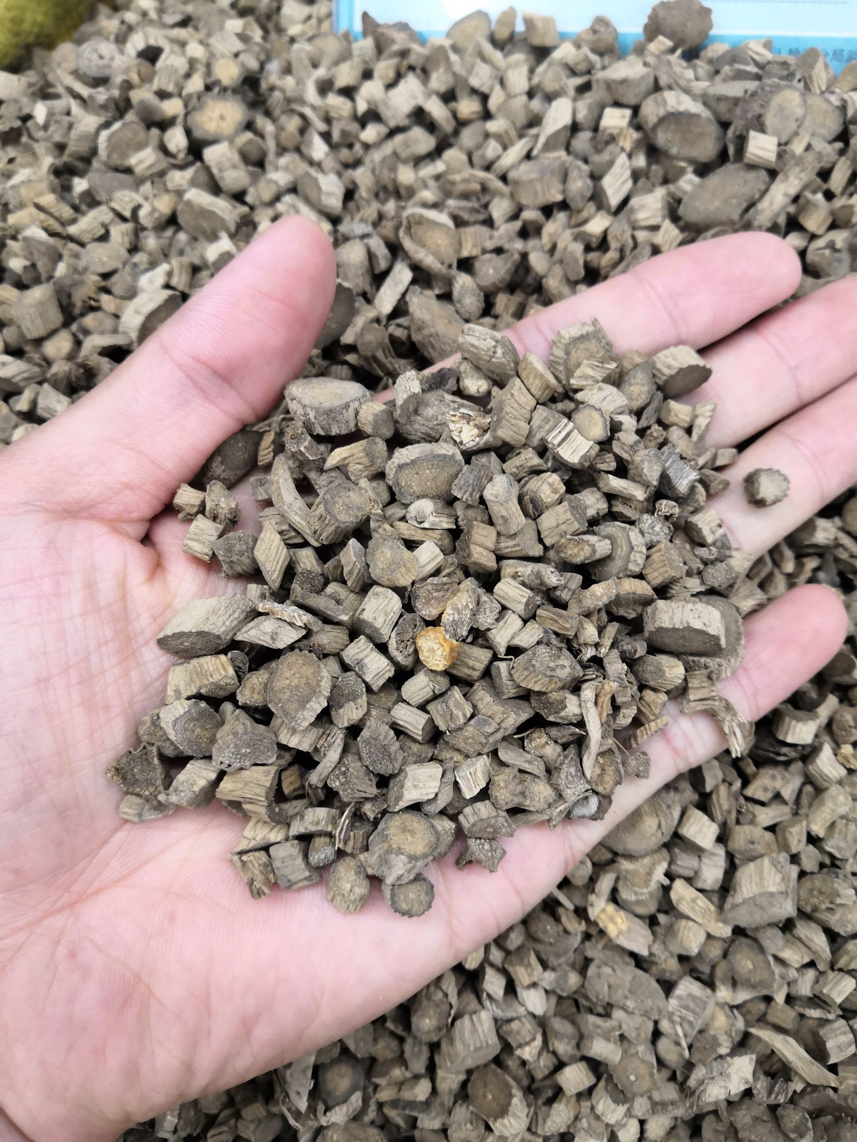 原装川牛膝 牛膝 怀牛膝 各种规格 价格优惠