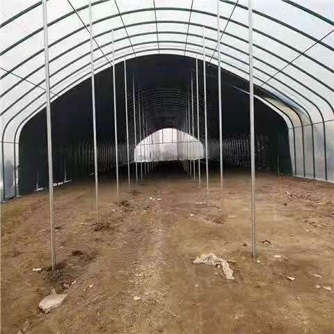 长兴县 厂家直营种植大棚，养殖大棚，单体棚，连体棚，
