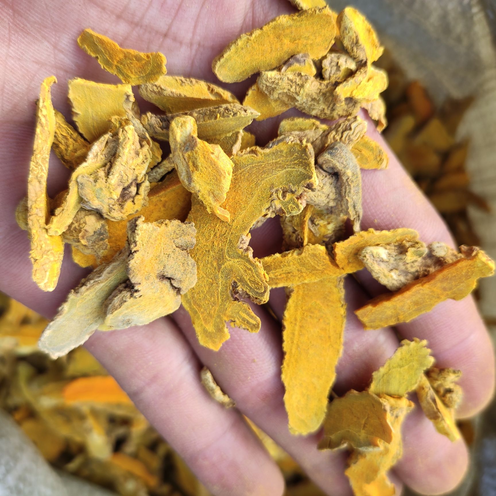 色姜黄 正品保证中药材 新鲜干货包邮