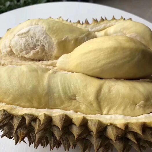 凭祥市 榴莲 金枕头榴莲