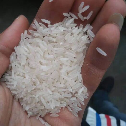东莞市 江苏大米，一等品