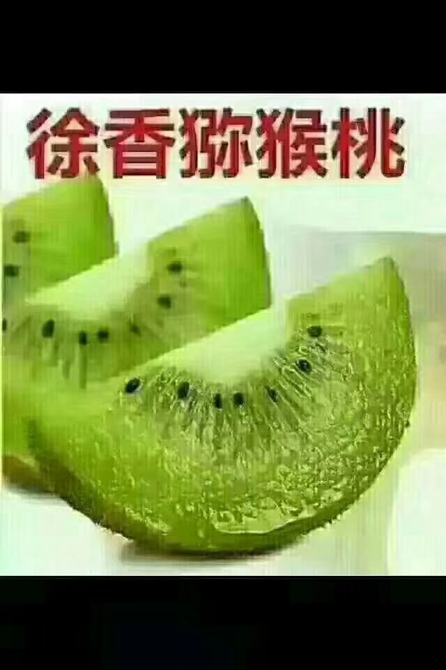  徐香猕猴桃