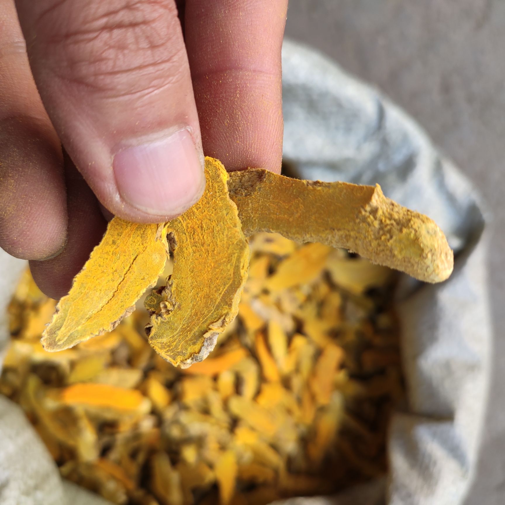 色姜黄 正品保证中药材 新鲜干货包邮