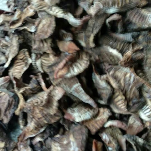 泉州即食笋片 卤味黑笋短片