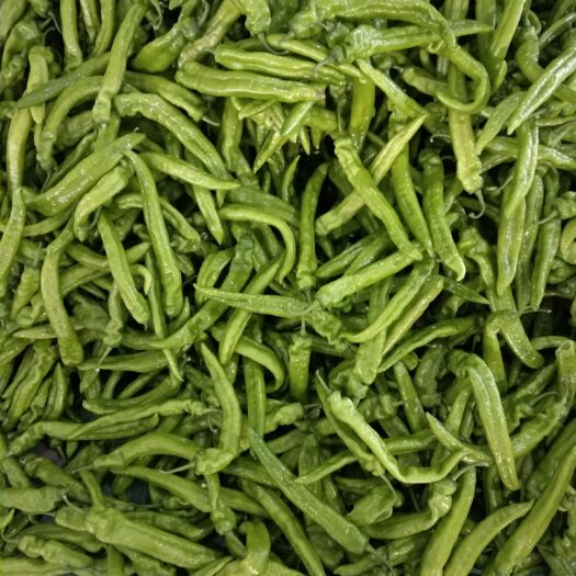 北镇市 大棚秋季尖椒大量上市