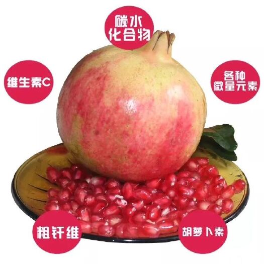 会泽县 会泽盐水软籽石榴