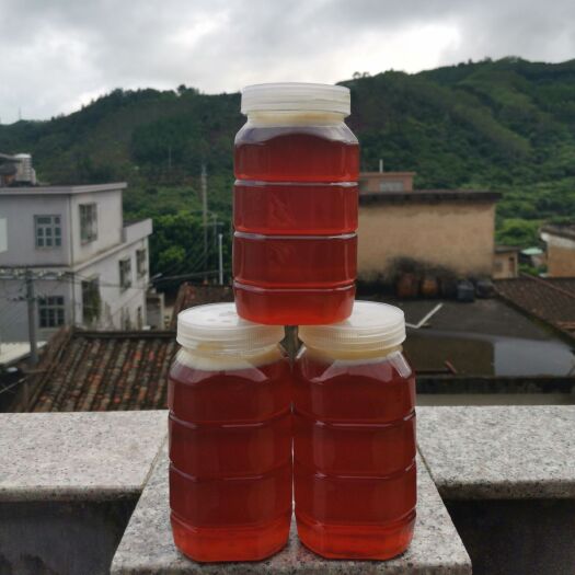 云霄县 蜂蜜 龙眼蜜 农家自养 塑料瓶装  2年以上