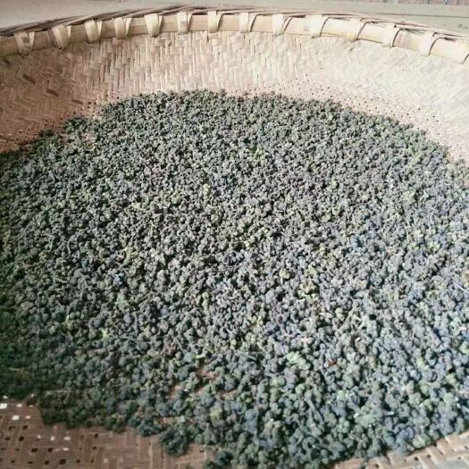 都安县吴茱萸