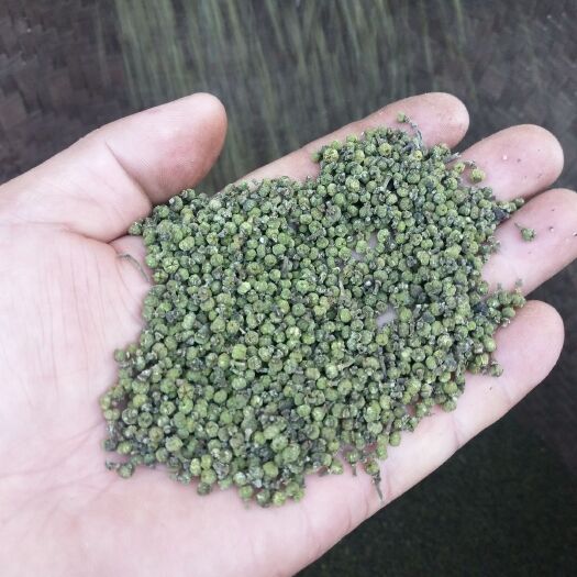 樟树市 江西中花吴茱萸