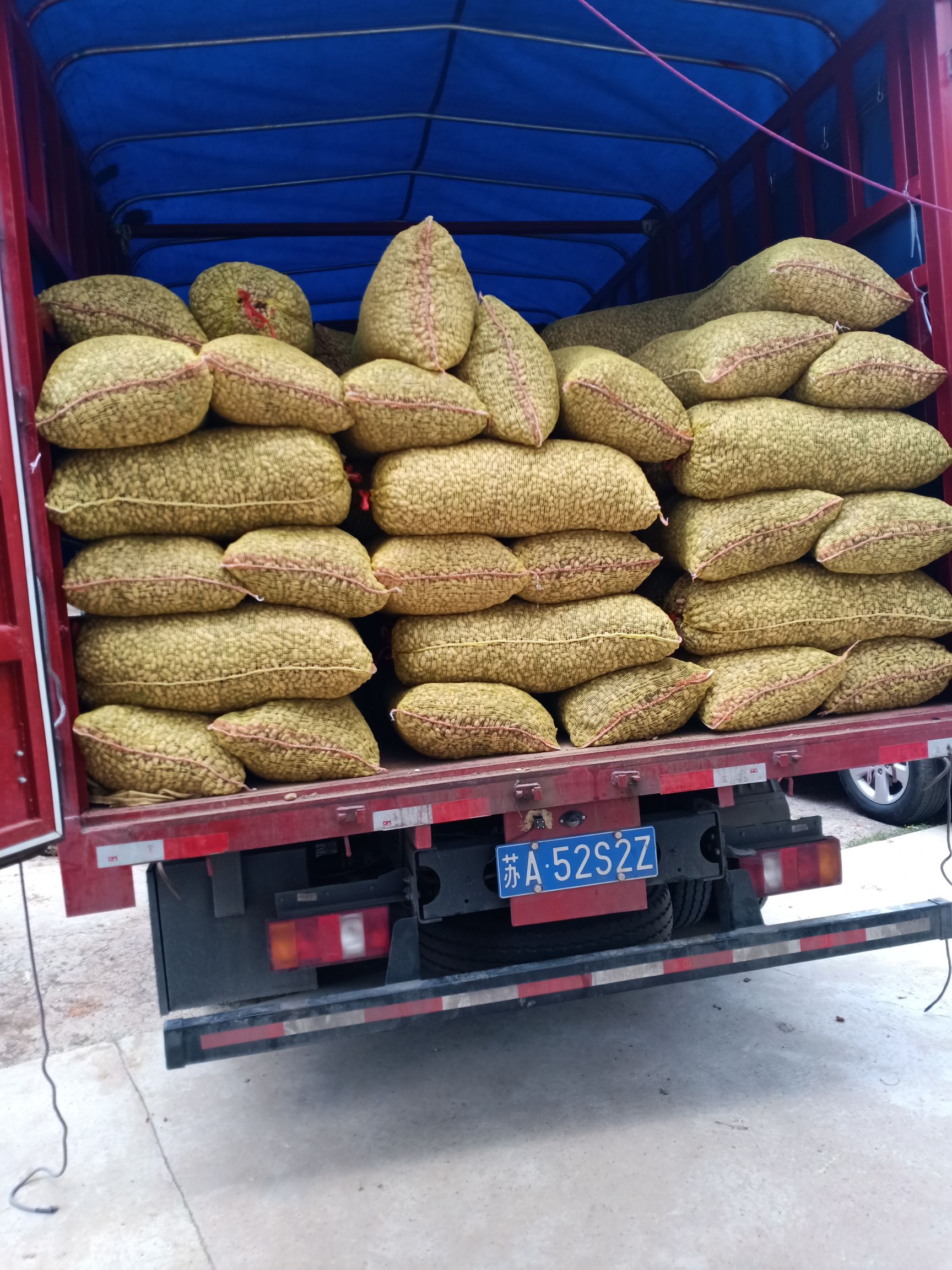 白沙系列  明光市，自来桥小白沙鲜果花生，大量上市了，是丘陵地区的，
