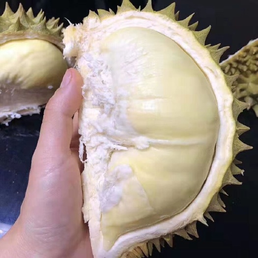 昆明 泰国金枕榴莲