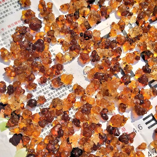 洪江市黄桃胶 6-12个月 袋装