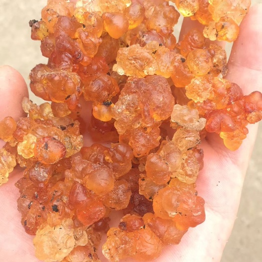 武汉食用桃胶 纯黄胶