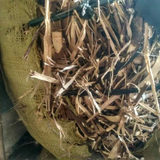 长白县 纯五加皮十吨