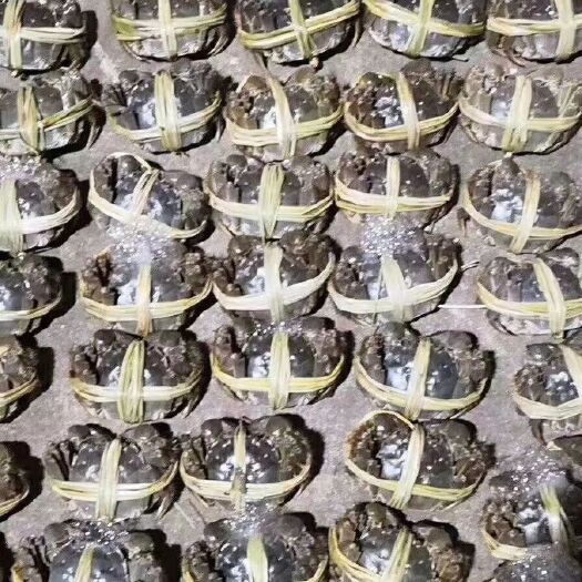 湖州 大量梭子蟹，大闸蟹