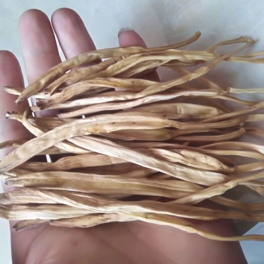 大荔县大荔黄花菜  最优质的肉头美条直，一级原品直条，黄花菜，以优质的品质对外