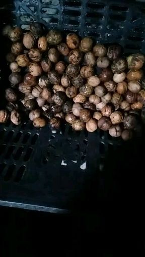 三台县云南大姚三台核桃 20mm以上 去皮 散装