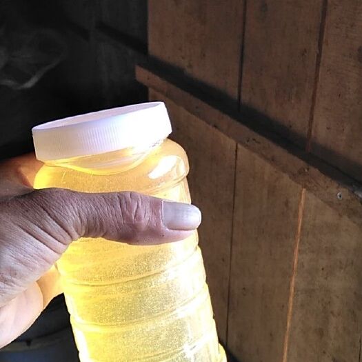 济南意蜂蜂蜜 山东莱芜高山洋槐蜜42度