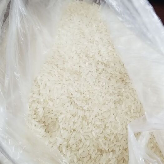 哈尔滨 黑土地大米
