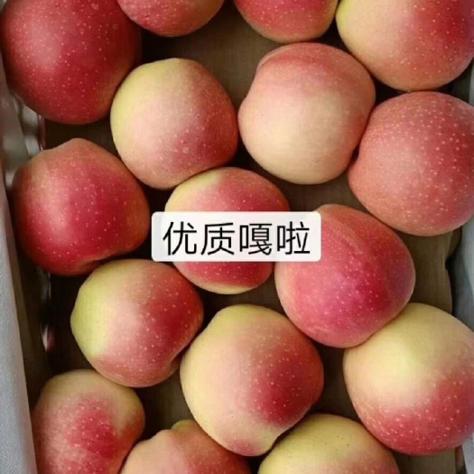 万荣县 运城万荣嘎啦，美八苹果，秦王，超越毛桃大量供货！
