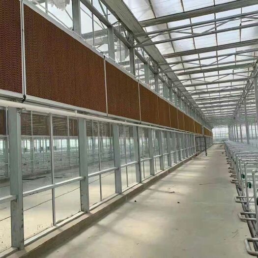 天津玻璃温室大棚 玻璃温室，联动温室