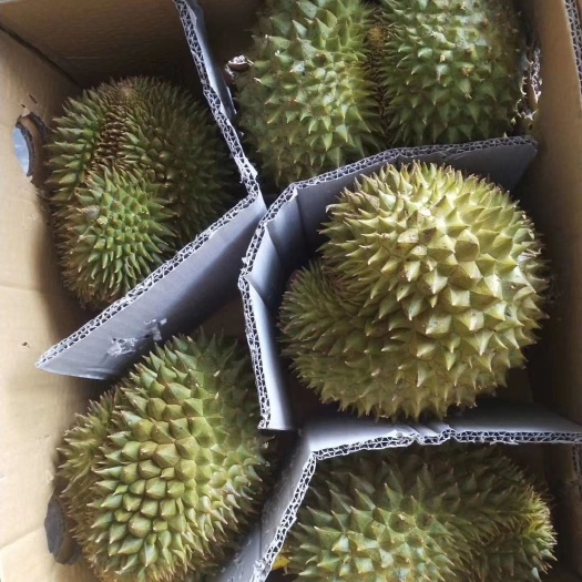 凭祥市 泰国巴掌榴莲