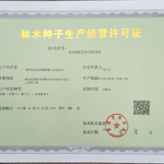 韩城市花椒种子  南强二号，品种纯种，产量高颗粒大，包邮包技术。