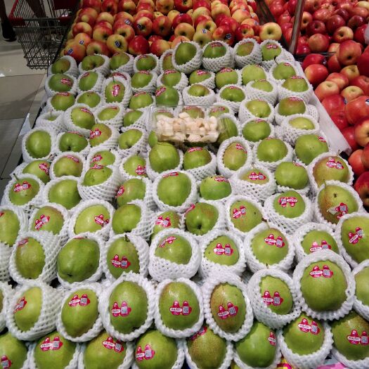 长春香梨 西域香妃产品售卖，金凤皇，馋密，波斯，石榴